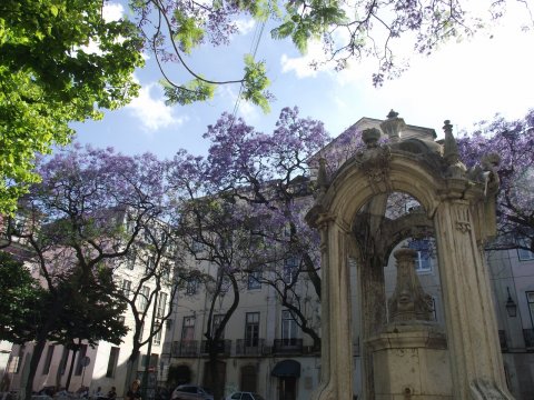 Lisbon007